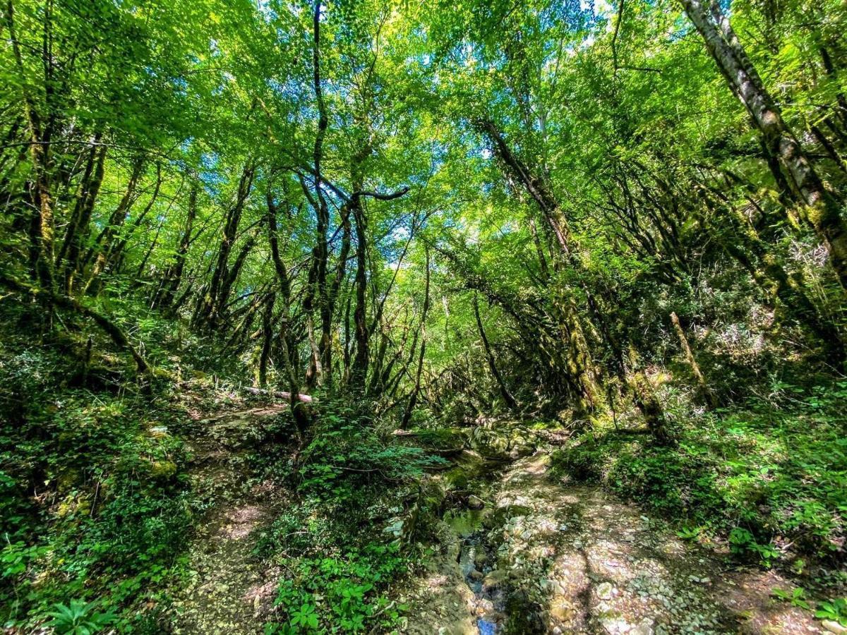 Apartment Agava Istria - Family Vacation Rental With Free Parking, Garden, Wifi Ližnjan المظهر الخارجي الصورة