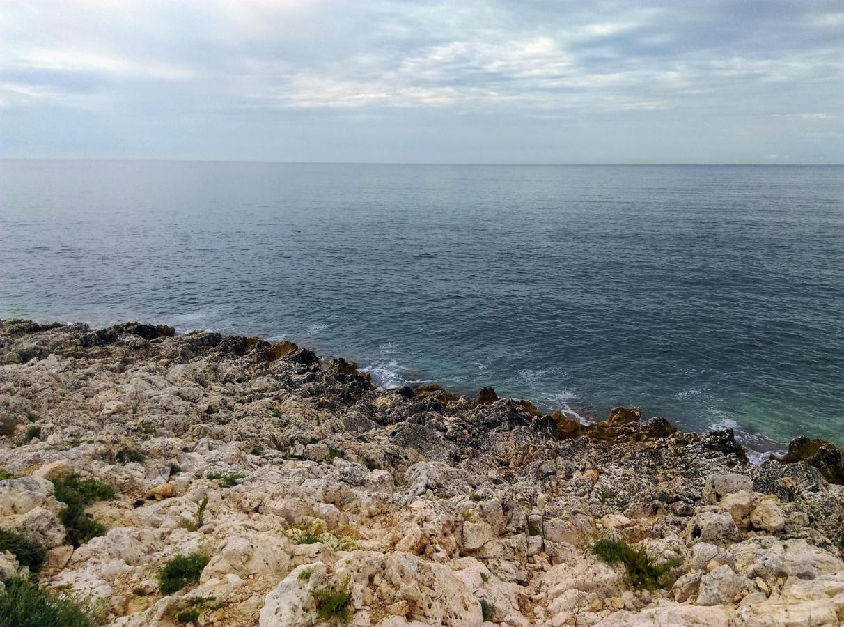 Apartment Agava Istria - Family Vacation Rental With Free Parking, Garden, Wifi Ližnjan المظهر الخارجي الصورة