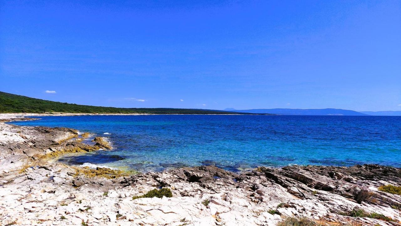 Apartment Agava Istria - Family Vacation Rental With Free Parking, Garden, Wifi Ližnjan المظهر الخارجي الصورة